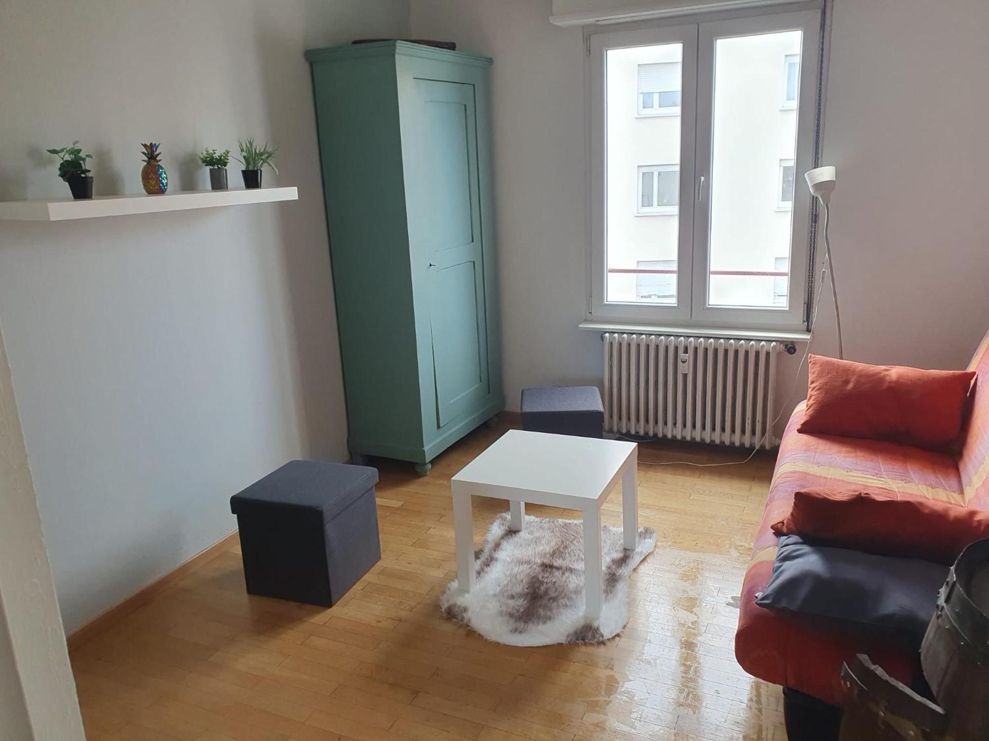 Appartement #6 : 2 Pieces Dernier Etage Tres Calme 40m2 Strasbourg